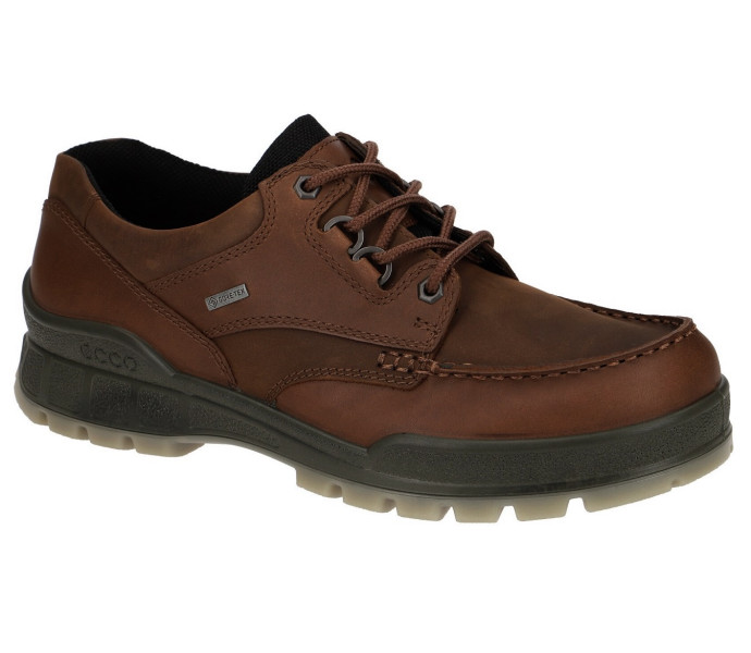 Ecco Track 25 Low GTX