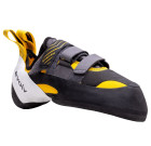 Evolv Shaman Evolv Shaman